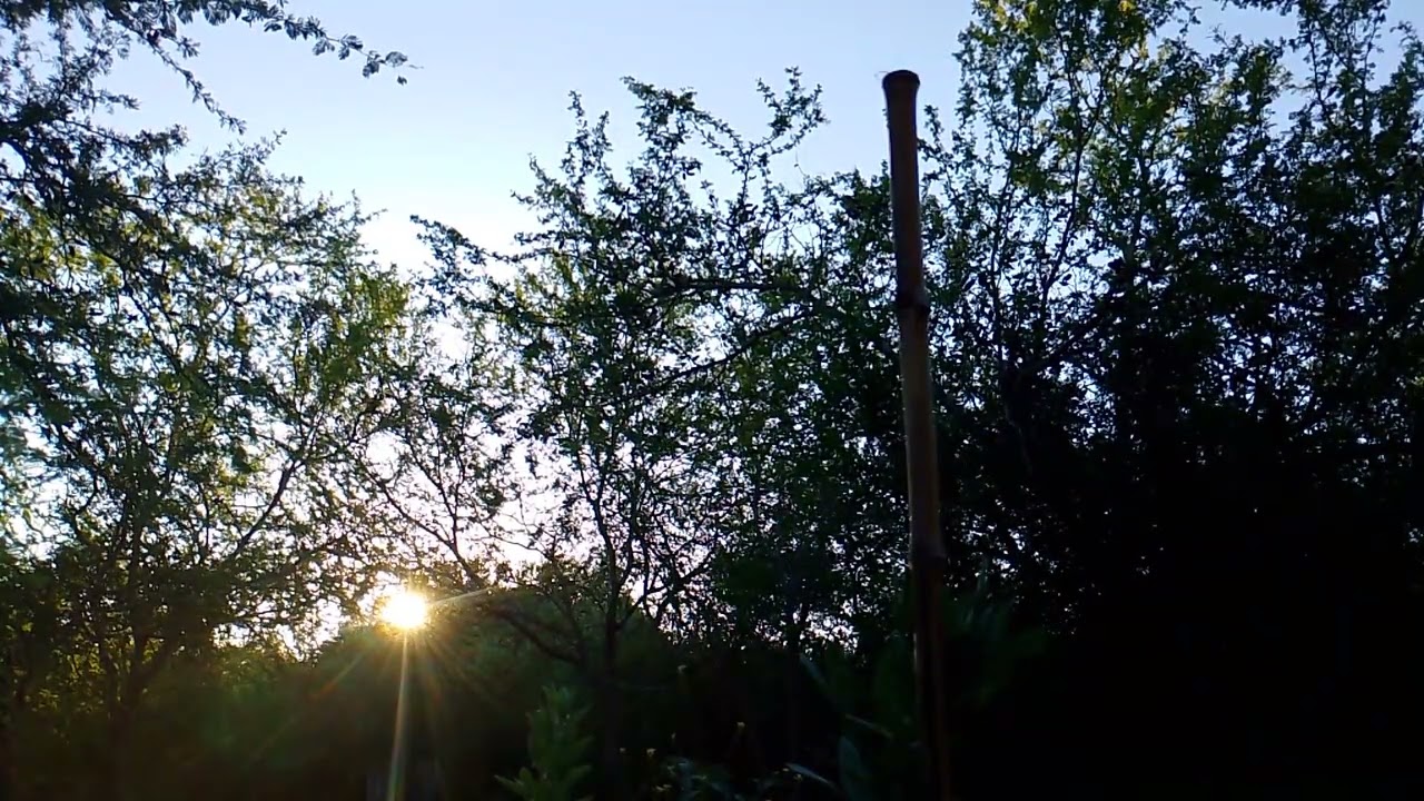 Atardecer de hoy 22/01/26