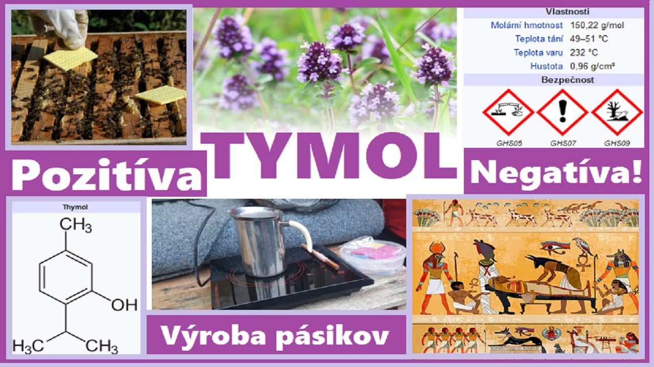 Thymol a v&yacute;roba thymolov&yacute;ch p&aacute;sikov