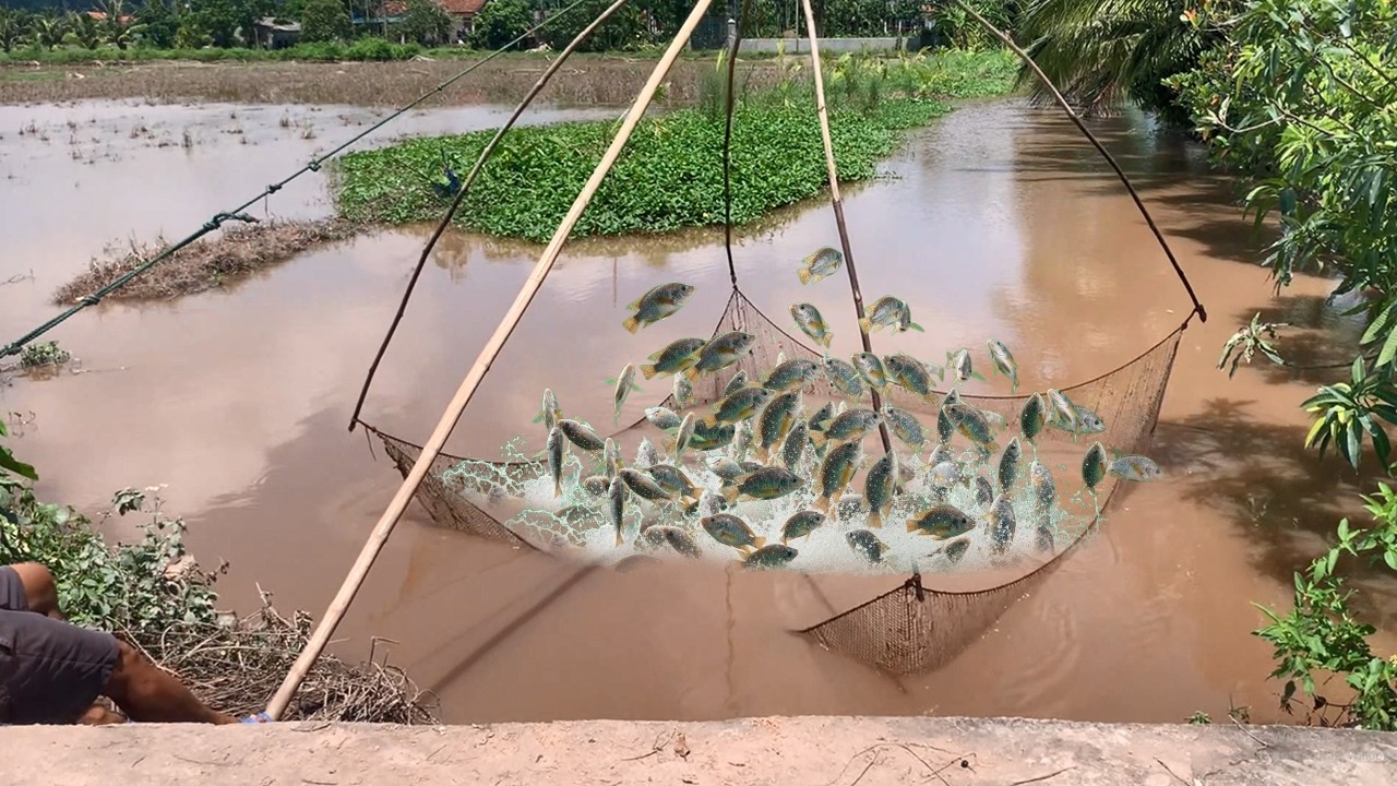 หลังน้ำลด! มาลองยกยอในแม่น้ำที่น้ำแห้งขอด จะยังเหลือปลาไหม? 🐟🌊