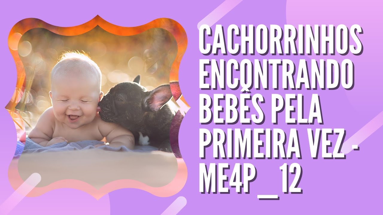 Cachorro fofo #04 - Cachorrinhos encontrando bebês pela primeira vez - ME4P_12