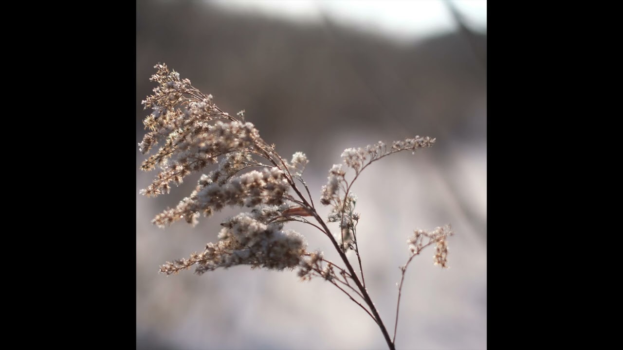 Takahiro Nishimura - Crystal Breath