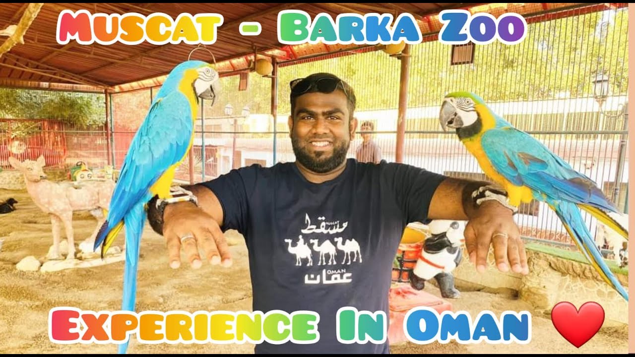 Oman Muscat - Barka Al Noman Zoo 🐫🦧 | Barka Beach 🏖️