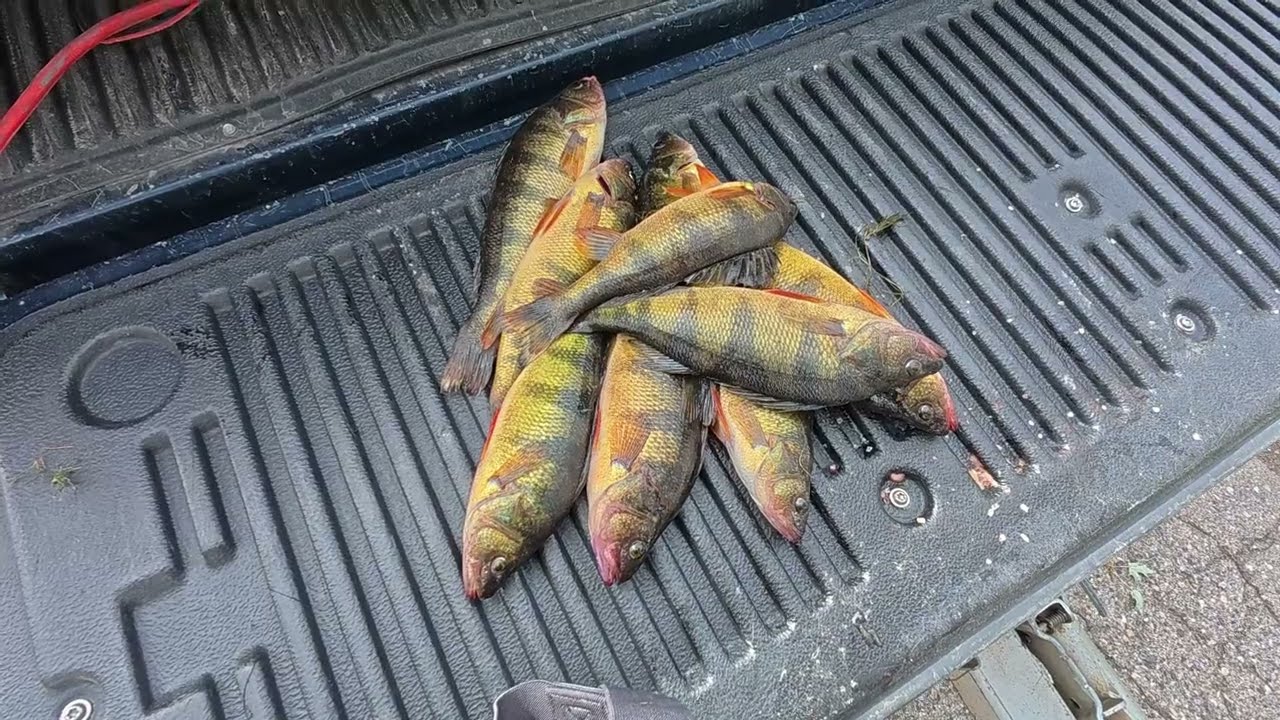 This NW Iowa lake has been fished to death (are there any perch left)