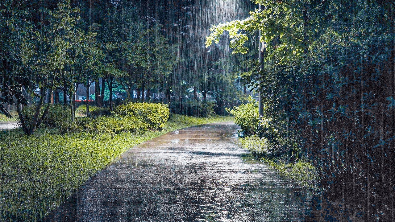 The Most Relaxing Rain Sounds for Stress Relief | Stop Anxiety, Tinnitus & Insomnia Relief
