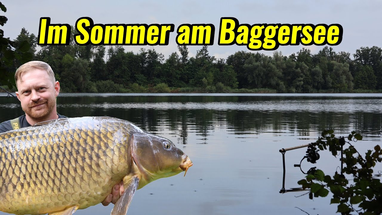 Karpfenangeln im Sommer am Baggersee