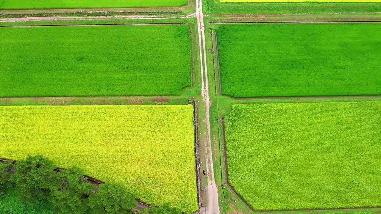 養父市八鹿酒造