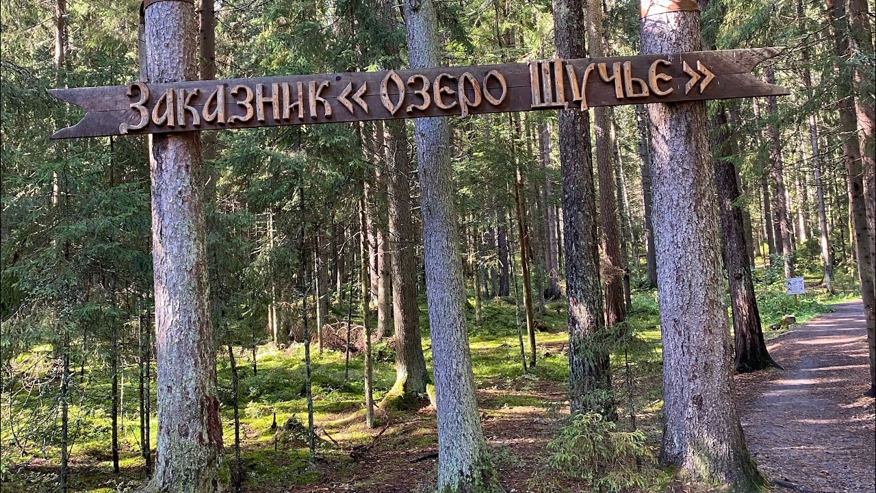 Заказник «Щучье озеро», экотропа. Прогуляемся??