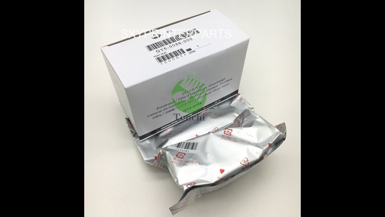 SXYTENCHI Japan F138010 Print head Printhead for Epson Stylus Photo 2100 2200 7600 9600 R2100 R2200