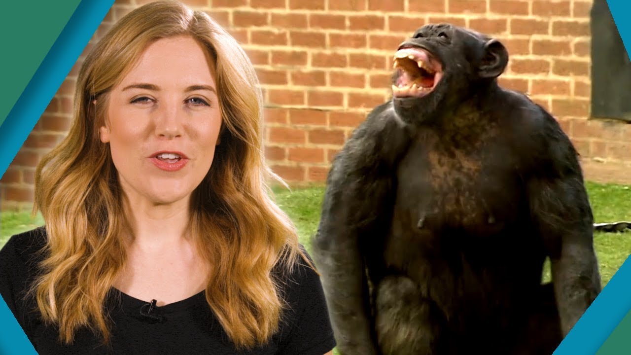 Why can't Animals Talk? | BBC Earth Explore