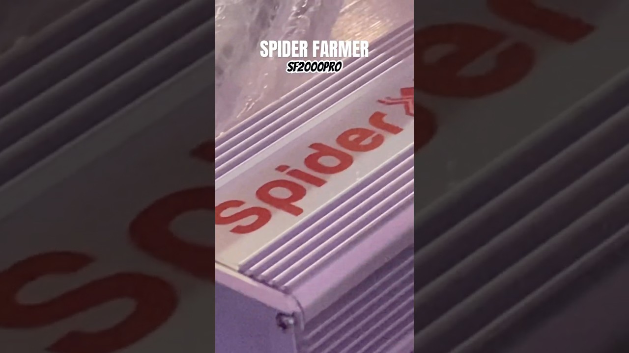 Spider Farmer SF2000pro grow light in the kitchen of my studio apartment. #growlighting #indoor