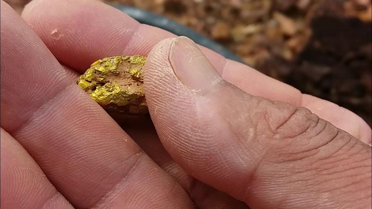 Vejam essa pepita de ouro que achei com tx850/Detectores de metais