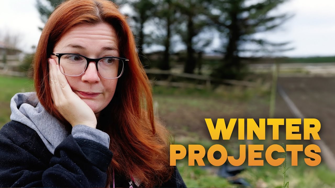 Our Week | Finally Trying Sourdough & Starting Self-Saved Seeds