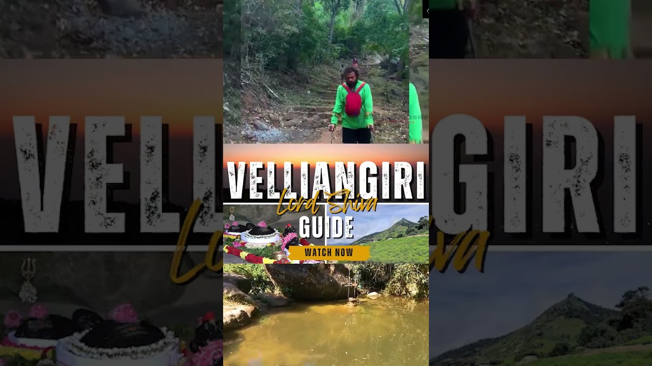 VELLAINGIRI TREKKING GUIDE | வெள்ளையங்கிரி நடைபாதை வழிகாட்டி #trekking #velliangiri  #lordshiva
