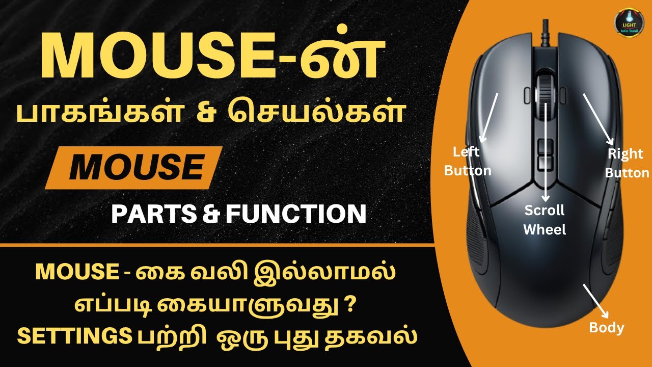 🖱️ கணினி மவுஸ் – பாகங்கள் மற்றும் செயல்கள்  | Computer Mouse – Parts and Functions Explained!
