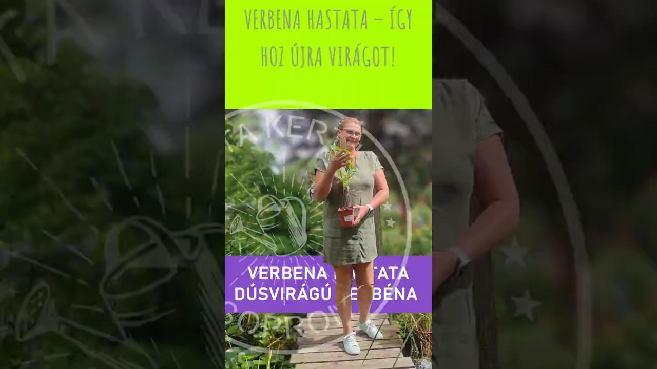 Verbena hastata &ndash; &Iacute;gy hoz &uacute;jra vir&aacute;got! #ritakertje