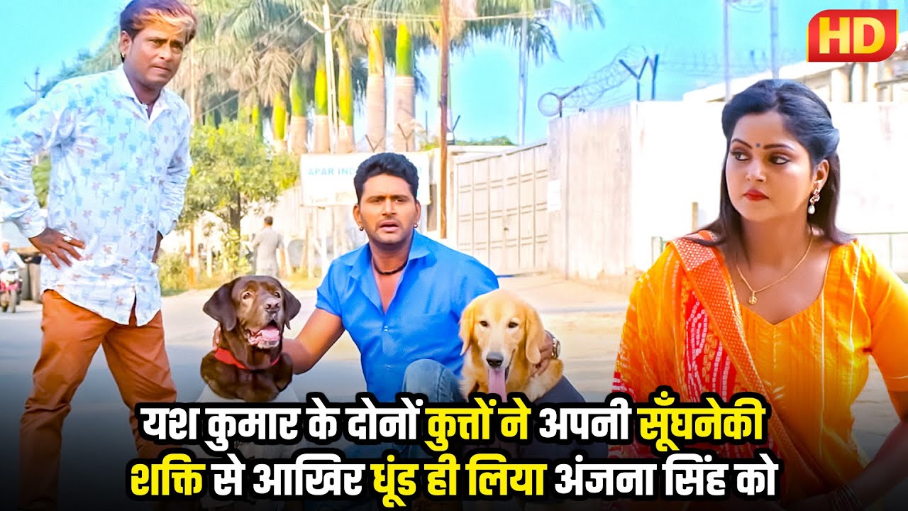 #bhojpuri #video यश कुमार के दोनों कुत्तों ने अपनी सूँघनेकी शक्ति से आखिर धूंड ही लिया अंजना सिंह को