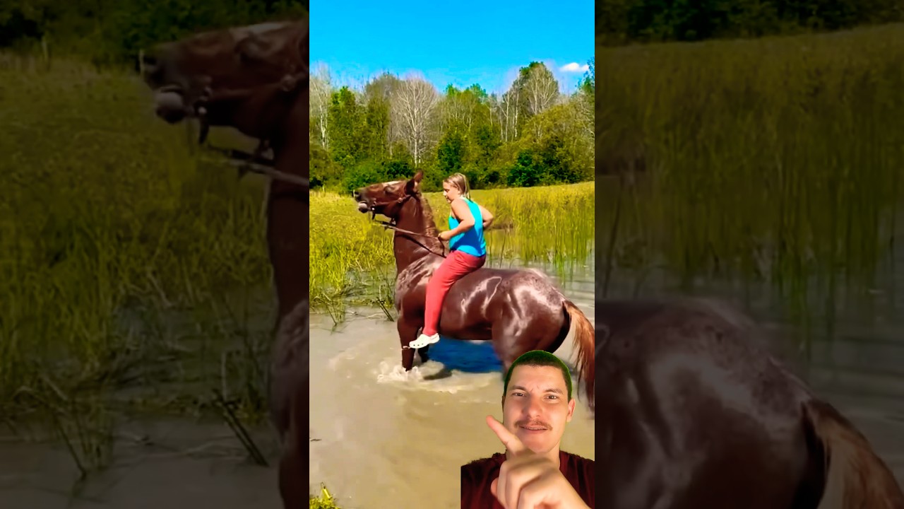 Cavalo dando cabe&ccedil;ada #marchadores #cavalos