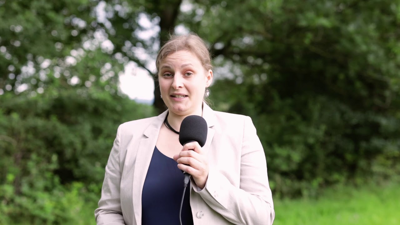 Wirecard erklärt (Teil 1) - Erläuterungen der Bilanzexpertin Dr. Carola Rinker