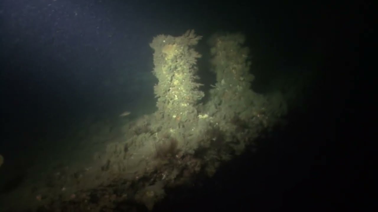 Another dive on the Black Dragon in 2008