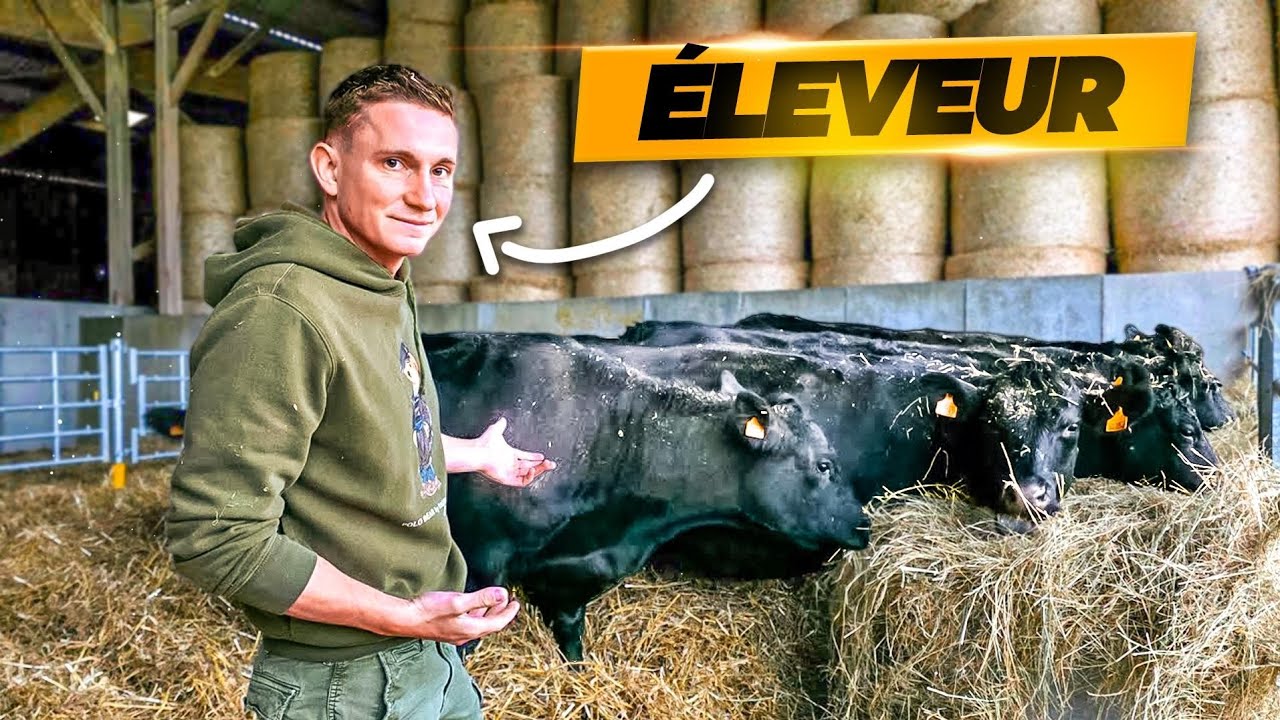 JE SUIS OFFICIELLEMENT &Eacute;LEVEUR !