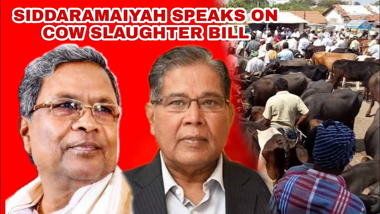 SIDDARAMAIYAH SPEAKS ON COW SLAUGHTER BILL I WILL EAT BEEF WHO ARE U TO TELL ME IT IS MY CHICE