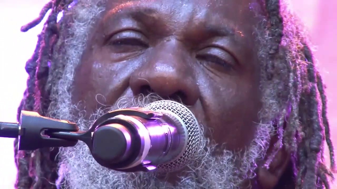 WINSTON McANUFF sings MALCOM X  - INNA DE YARD live @ Rototom Sunsplash 2017