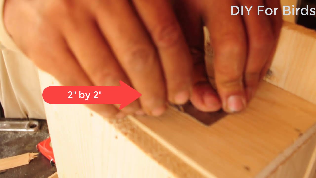 Bird House Idea | DIY how to make Birdhouse | Build Bird Nest Box at Home
