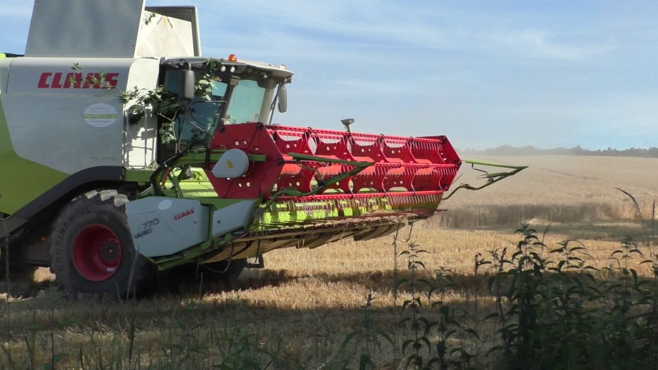 Claas Lexion 750 Weizen dreschen in Hägerfelde, Ernte 2017