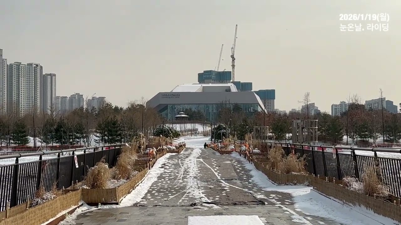 2026/1/19(월)눈온날 라이딩.하얀 눈 구경￼