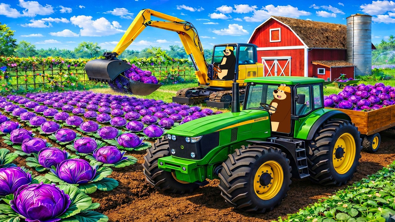 The Bear Farm: Repairing Broken Irrigation Pipes in the Purple Cabbage Field | Real Farm Animation