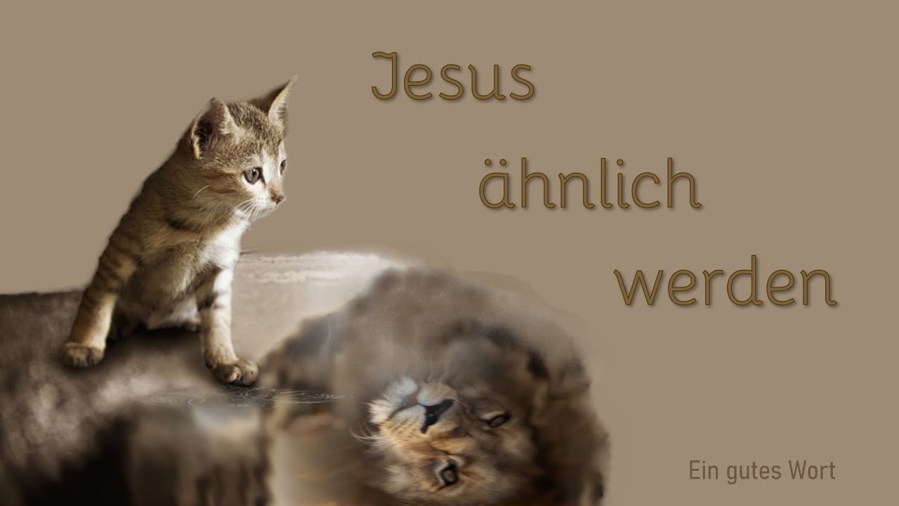 Wie werde ich Jesus ähnlicher? Woran erkennt man Menschen, die Jesus nachfolgen?