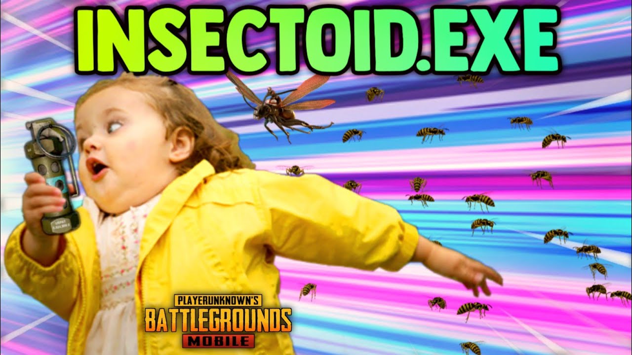 INSECTOID.EXE | PUBG MOBILE