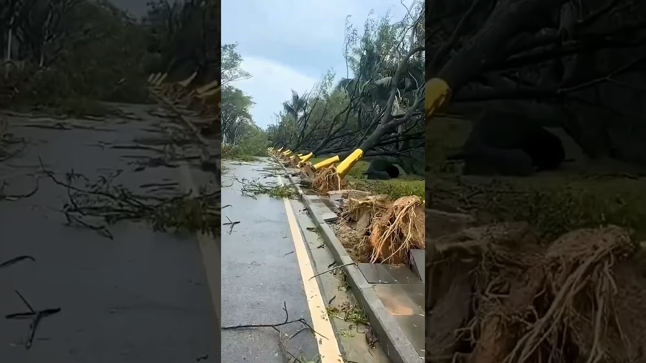 This Flood Is Absolutely Terrifying 😱 #viral #floods #shorts #disaster