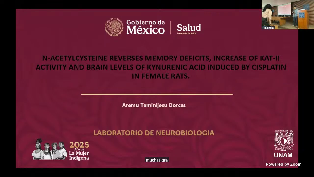 Seminario de investigación del 27 de noviembre de 2025