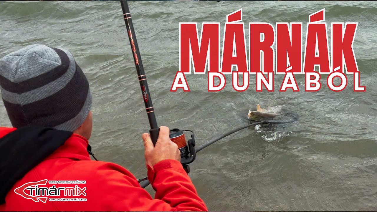 Márnák a Dunából - Timár Mix