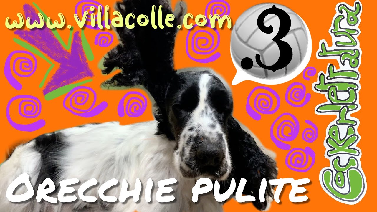 Cockerlettatura.3 da Villa Villacolle