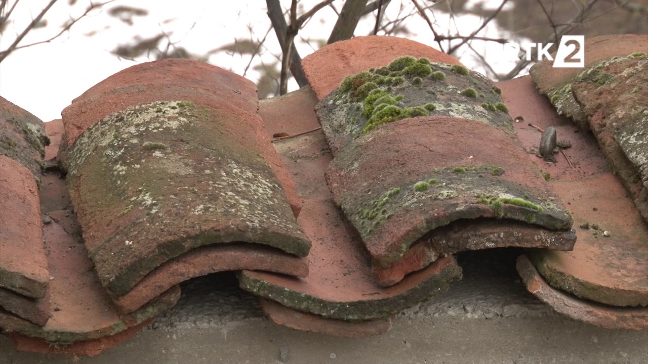 Tragom predaka Bitisanje u Donjoj Bitinji 02 03 2019
