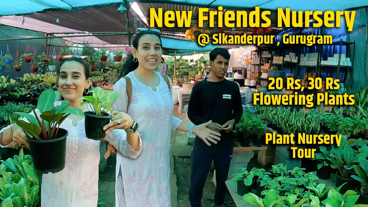20 Rs Flowering Plants @ New Friends Nursery | Sikanderpur, Gurugram | Nursery Tour