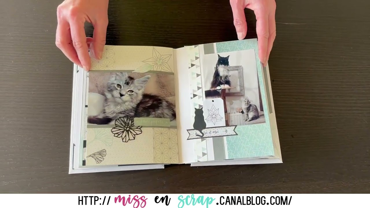 Edition Limit&eacute;e - Miss en Scrap