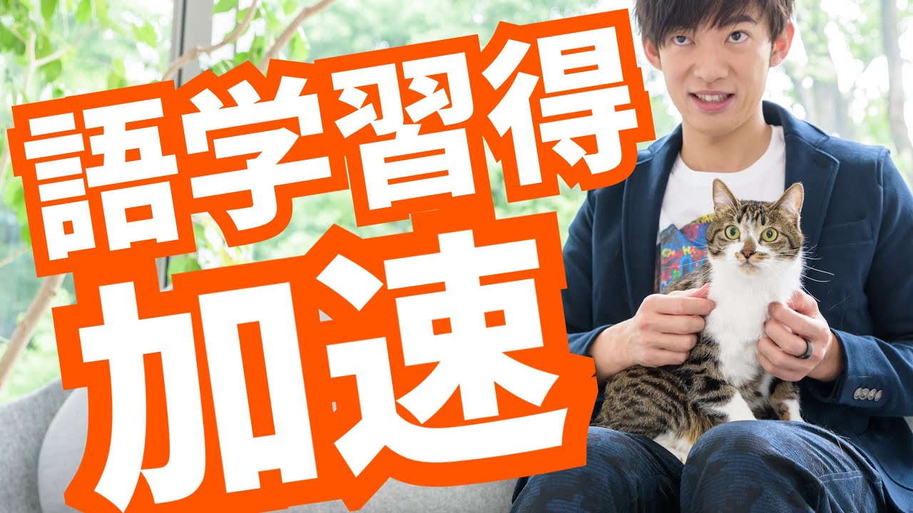 英語以外も対応【語学学習スピードをアップ】する方法