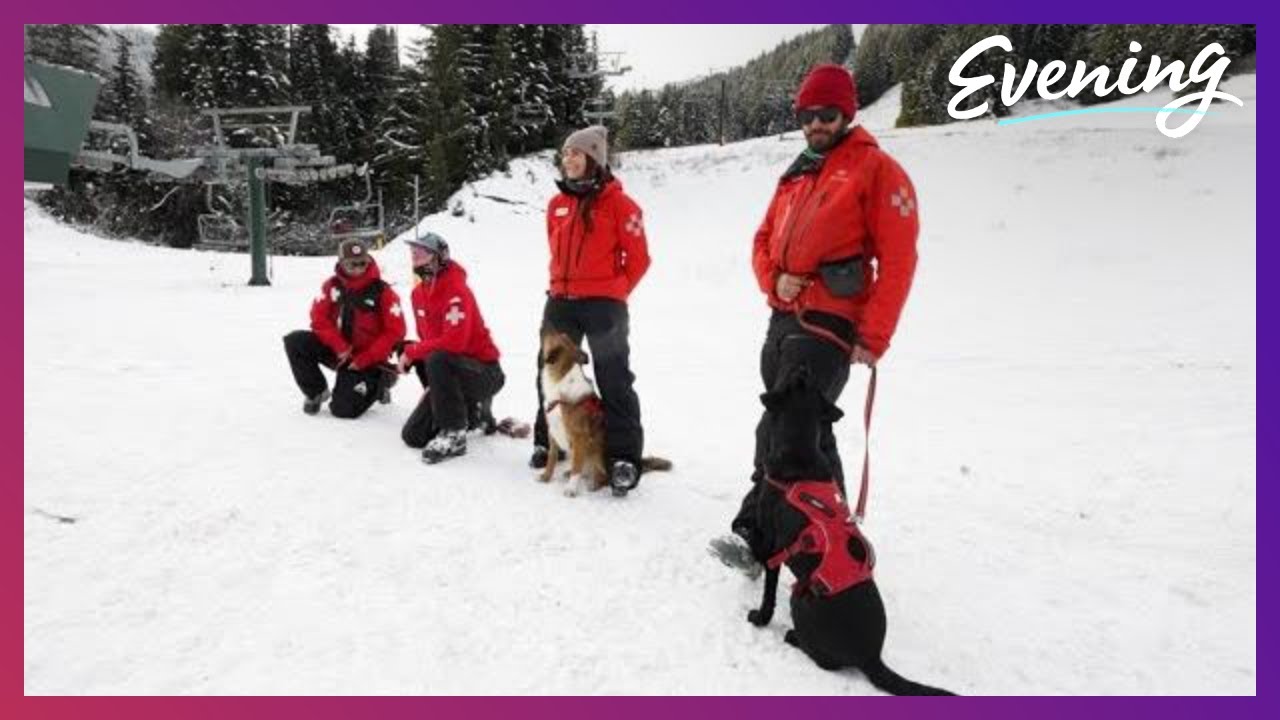 These ski resort heroes give a new meaning to 'Man’s best friend'