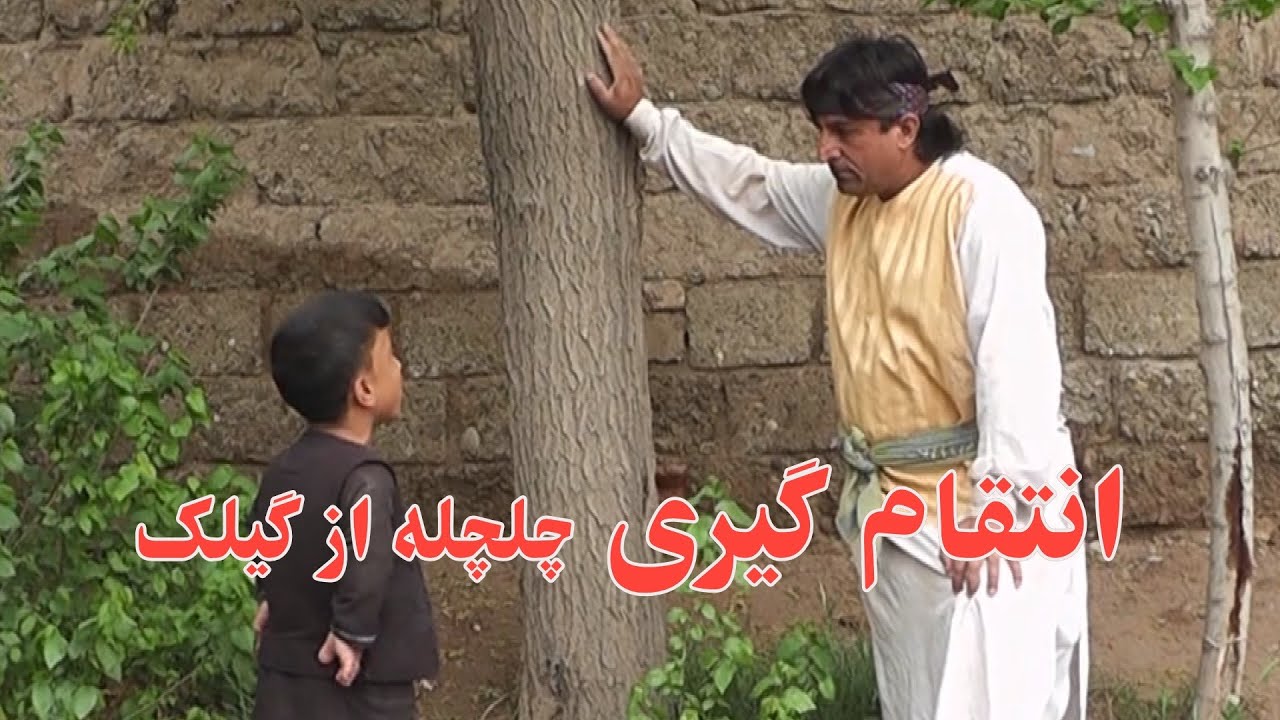 انتقام گیری چلچله از گیلک