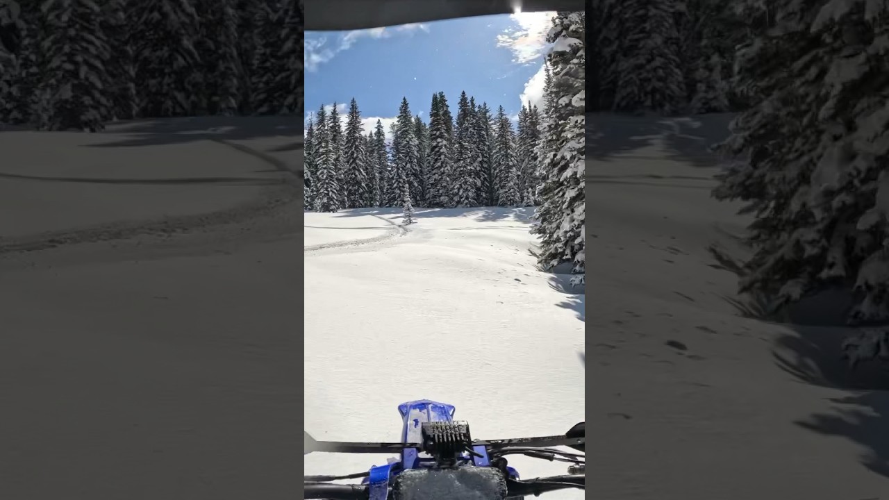Fun lines in this zone ❄️🌲❄️🌲     