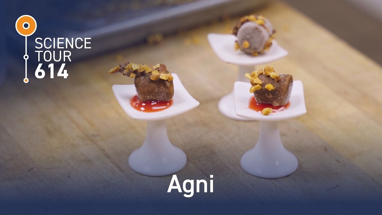 The Science of Culinary Arts - Agni | Science Tour 614