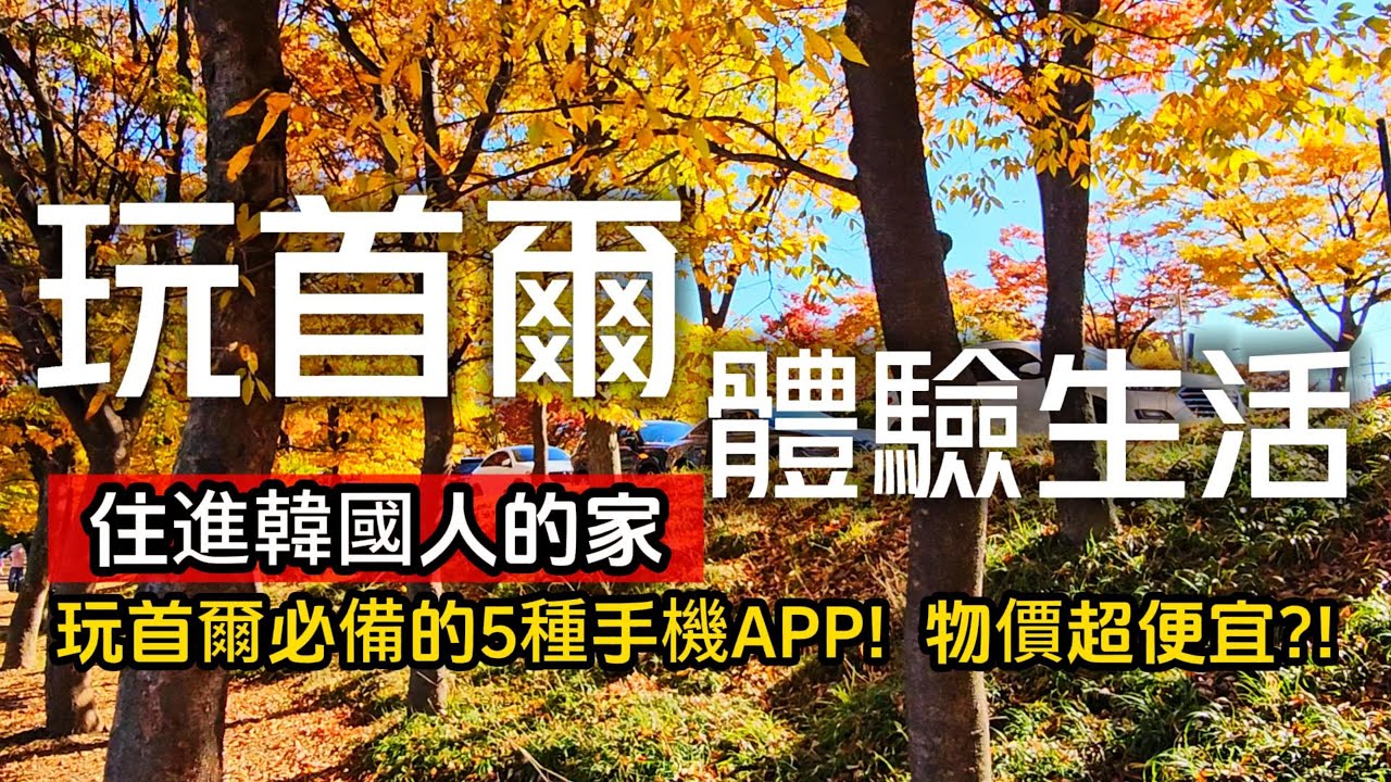 體驗在地韓國❗產地麝香葡萄1串才60元❗這家航空居然是『全球最美味飛機飛機餐』｜最新玩首爾必備的5種手機APP｜韓國❌首爾｜SEOUL｜