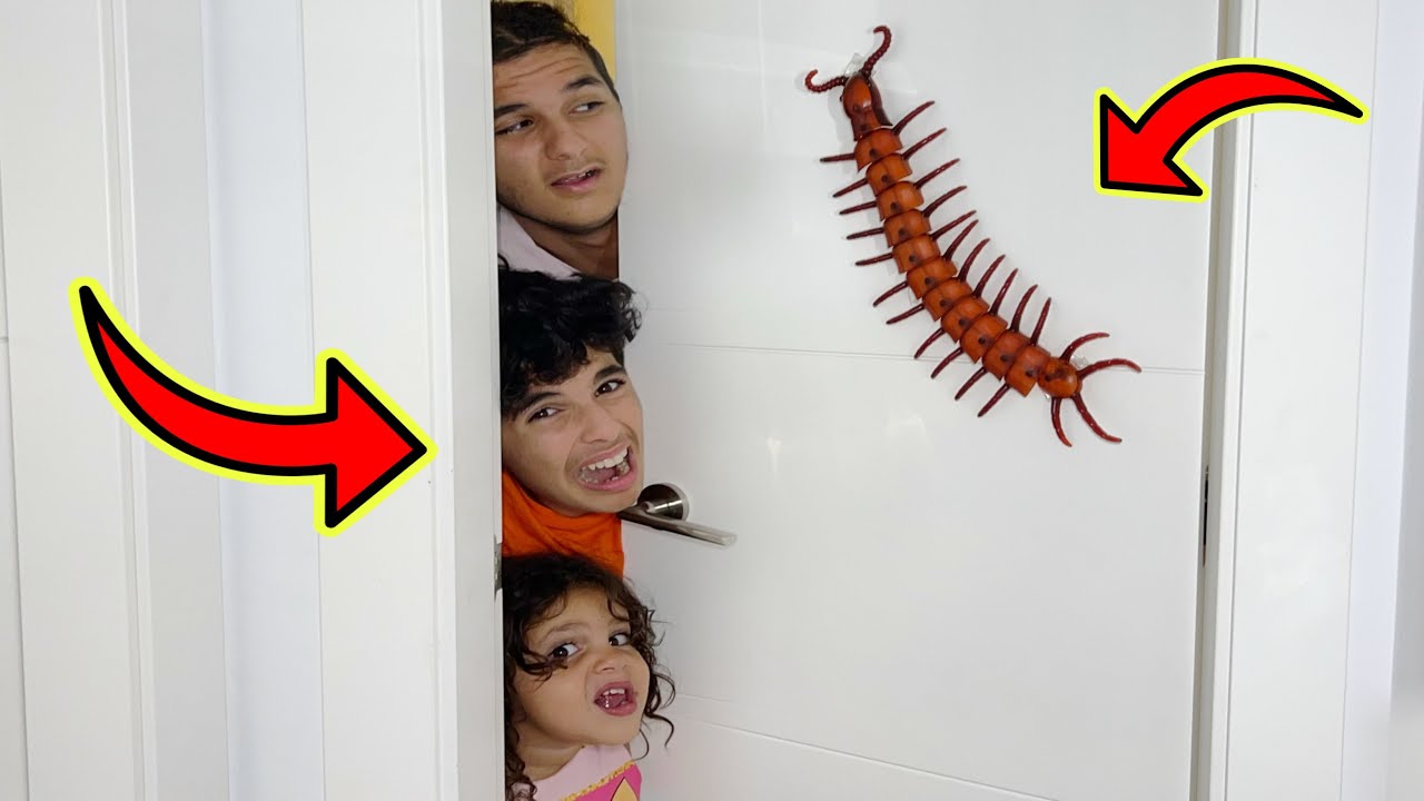 On se fait attaquer par un mille-pattes géant
