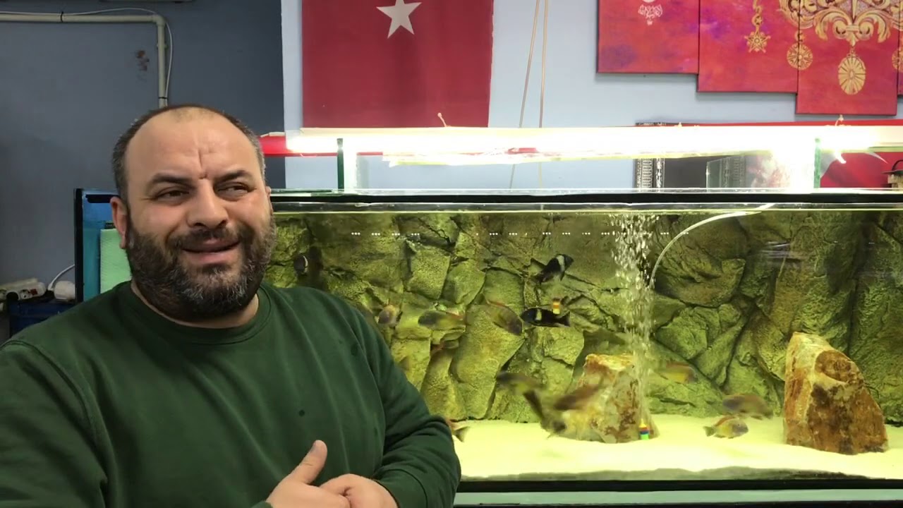 İL DIŞINDAN BALIK ALMAK -CANLI GARANTİLİ GÖNDERİM
