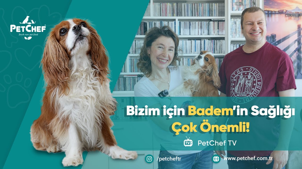 BİZİM İÇİN BADEM'İN SAĞLIĞI ÇOK ÖNEMLİ!