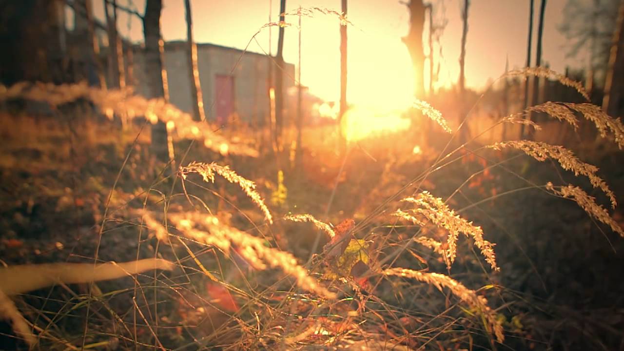 Toppila 2014 - Abandoned