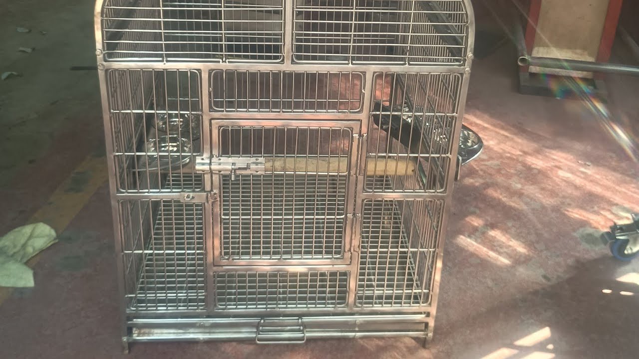 Steel cages for parrot 🦜 macaw buggies love birds #birds #macaw #buggies #pets 